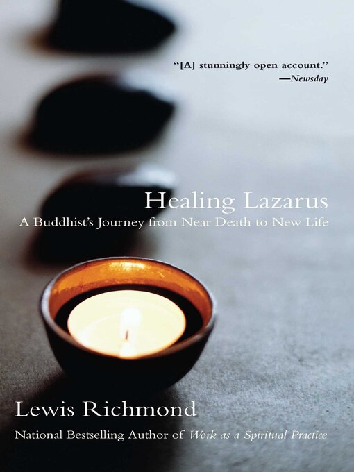 Cover image for Healing Lazarus